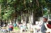 exposition_rives_abord_07.