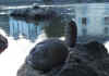 exposition_rives_abord_11.