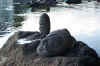 exposition_rives_abord_13.