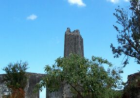 musee de villele