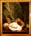 pierre gueniot les coquillages