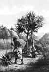 lithographie_antoine_roussin_gardiens_de_champs_de_canne.