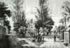 lithographie_antoine_roussin_quartier_sainte_suzanne_1879.